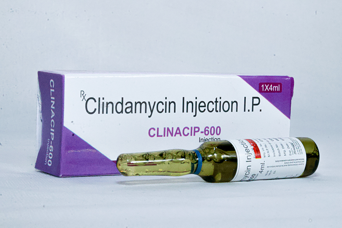 clinacip 600 clinacip 600