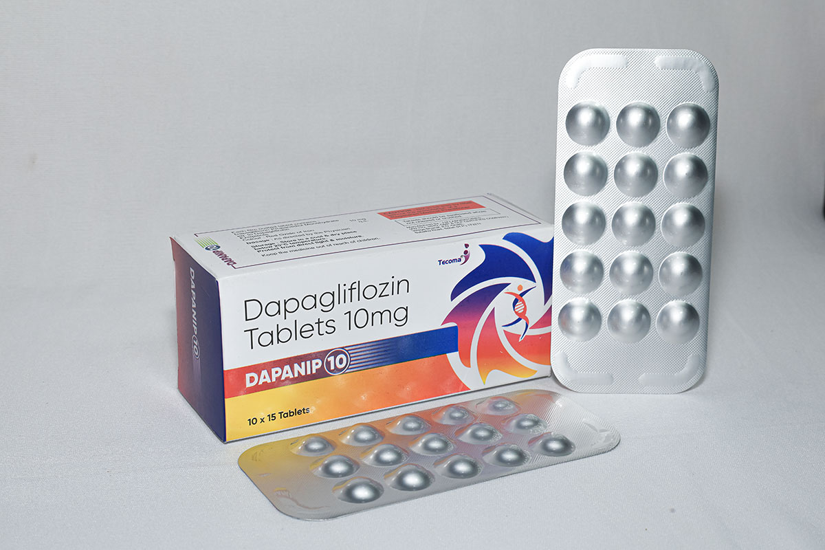 dapanip 10 dapanip 10